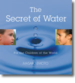 The Secret of Water - Hardcover