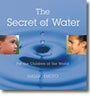 The Secret of Water - Hardcover